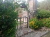 Image 14