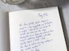 Bilde 7