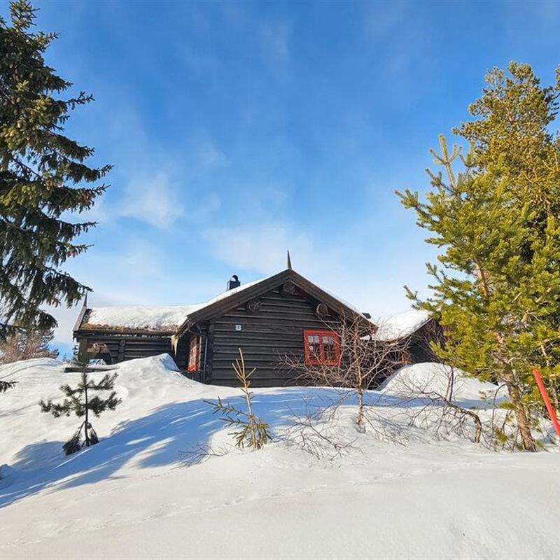 Sommerhus - 13 personer -  - Huvtjønnleiken - Kyrkjebygdheia - 3855 - Treungen