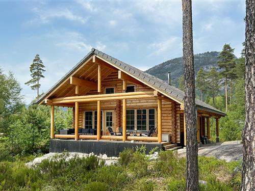 Sommerhus - 8 personer -  - Fiskebekkvegen - 3853 - Vrådal