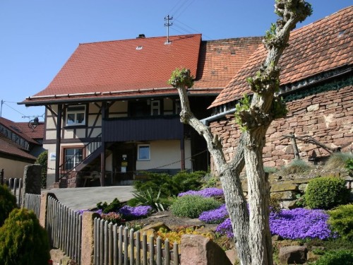 Sommerhus - 5 personer -  - 75242 - Neuhausen
