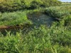 Billede 26 - Område