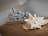 Bild 41