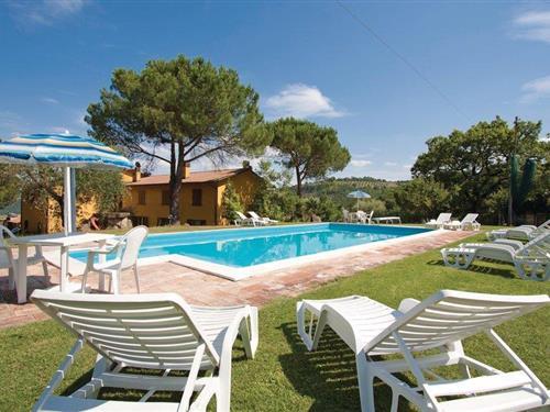 Feriehus - 9 personer -  - Via Case Sparse - Magione - 06063 - Magione Pg