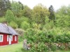 Billede 22 - Ude