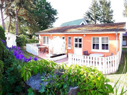 Ferielejlighed - 2 personer -  - Amselweg - 18609 - Binz