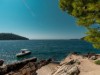 Image 14