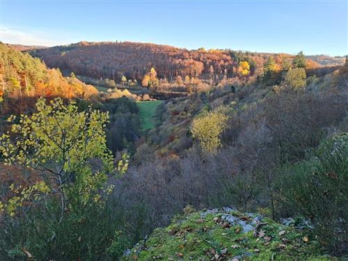 Feriehus - 6 personer -  - Kiefersheck - 55779 - Heimbach