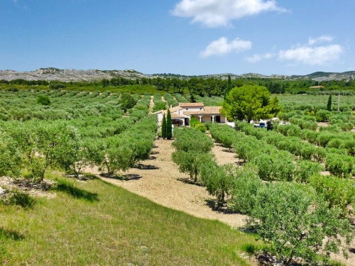 Holiday home - 8 persons -  - Route D Eygalieres - 13890 - Mouries