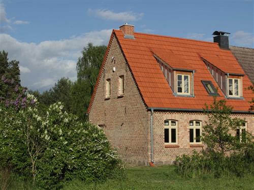 Ferienhaus - 7 Personen -  - Amalienhof - 17248 - Rechlin / Boek