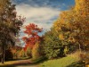 Billede 22