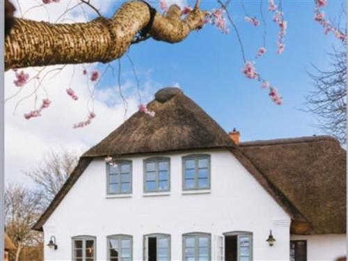 Ferielejlighed - 4 personer -  - An de Marsch - 25938 - Midlum