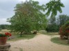 Image 17 - Outside