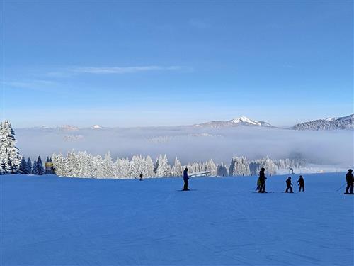 Ferielejlighed - 2 personer -  - Feldwieser Straße - 83236 - Übersee