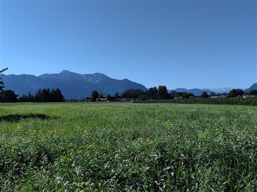 Ferieleilighet - 2 personer -  - Feldwieser Straße - 83236 - Übersee