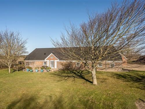 Sommerhus - 18 personer -  - Mejlbyvej - Stauning - 6900 - Skjern