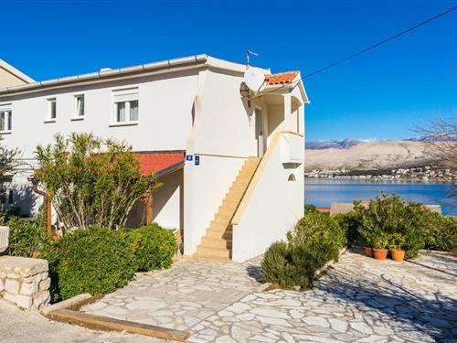 Holiday apartment - 4 persons -  - Miroslava Krleze - 23250 - Pag