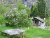 Bilde 5
