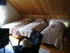 Bild 12 - Inde