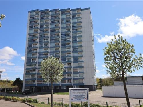 Ferienwohnung - 2 Personen -  - In der Wolskermarsch - 27476 - Cuxhaven