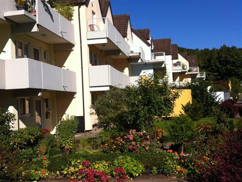 Ferieleilighet - 3 personer -  - Bringhäuser Straße - 34513 - Waldeck