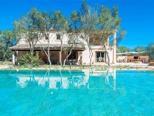 Villa - 8 persons -  - 07144 - Costitx, Illes Balears