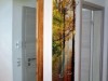 Bild 62