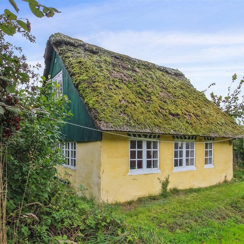 Ferienhaus - 4 Personen -  - Sønder Land - Sönderho - 6720 - Fanö
