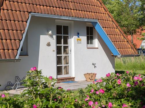 Holiday Home/Apartment - 6 persons -  - Kniepsand - 27639 - Wurster Nordseeküste