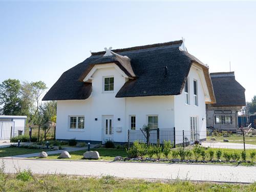 Sommerhus - 4 personer -  - Am Hafen - 18574 - Puddemin