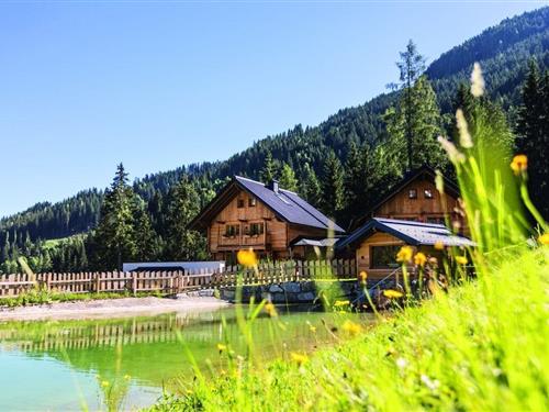 Sommerhus - 11 personer -  - Hofmark - 5602 - Hofmark