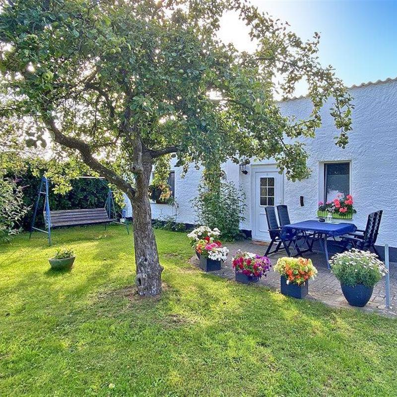 Sommerhus - 4 personer -  - Dorfstr. - 18356 - Fuhlendorf