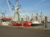 Billede 13