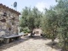 Image 22 - Outside