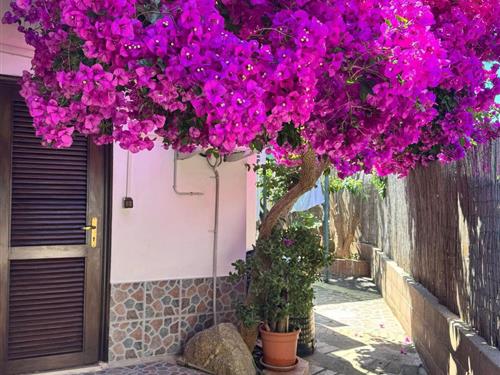 Zimmer - 2 Personen -  - Capo Vaticano - 89866