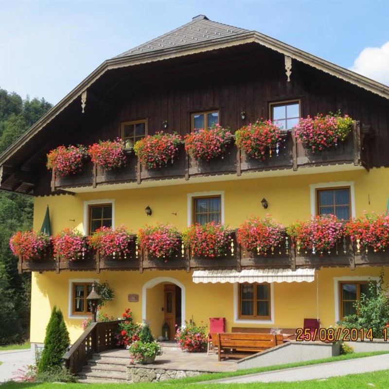 Bondegård - 3 personer -  - Lämmerbach - 5324 - Hintersee