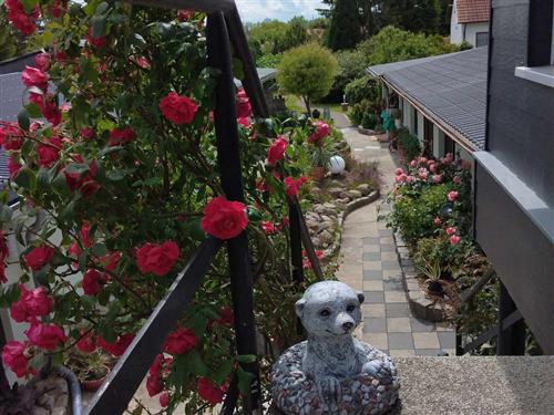 Ferieleilighet - 2 personer -  - Ludwig-Feuerbach-Weg - 18146 - Rostock / Dierkow-West