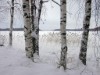 Bilde 18 - Inne