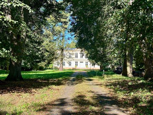 Slott / Borg - 4 personer -  - Lindenallee - 17440 - Zemitz