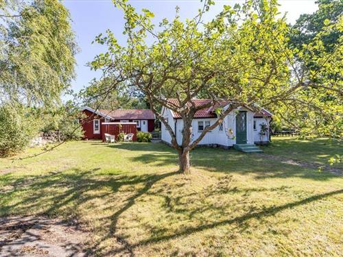 Ferienhaus - 8 Personen -  - Ragnabovägen - Torsås - 385 94 - Bergkvara