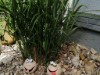 Bild 10 - Ude