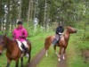 Bild 17