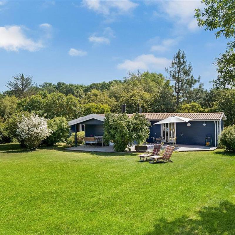 Ferienhaus - 5 Personen -  - Vesterengen - Ellinge Lyng - 4560 - Vig