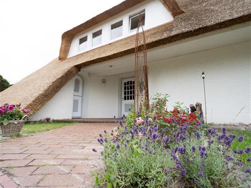 Ferielejlighed - 4 personer -  - Pole Poppenspähler Weg - 25826 - St. Peter-Ording