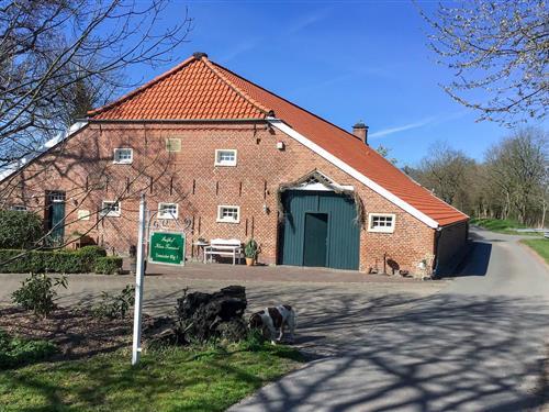 Holiday Home/Apartment - 6 persons -  - Terwischer Weg - Detern - Ostfriesland - 26847 - Detern