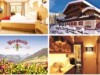 Billede 11