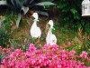 Image 31 - Outside