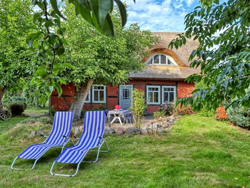 Sommerhus - 4 personer -  - Dorfstraße - Rankwitz - 17406 - Rankwitz Ot Quilitz