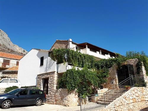 Holiday Home/Apartment - 3 persons -  - Ivan Dolac - 21465 - Ivan Dolac