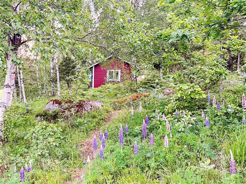 Feriehus / leilighet - 4 personer -  - Bläsbodavägen - 76197 - Norrtälje